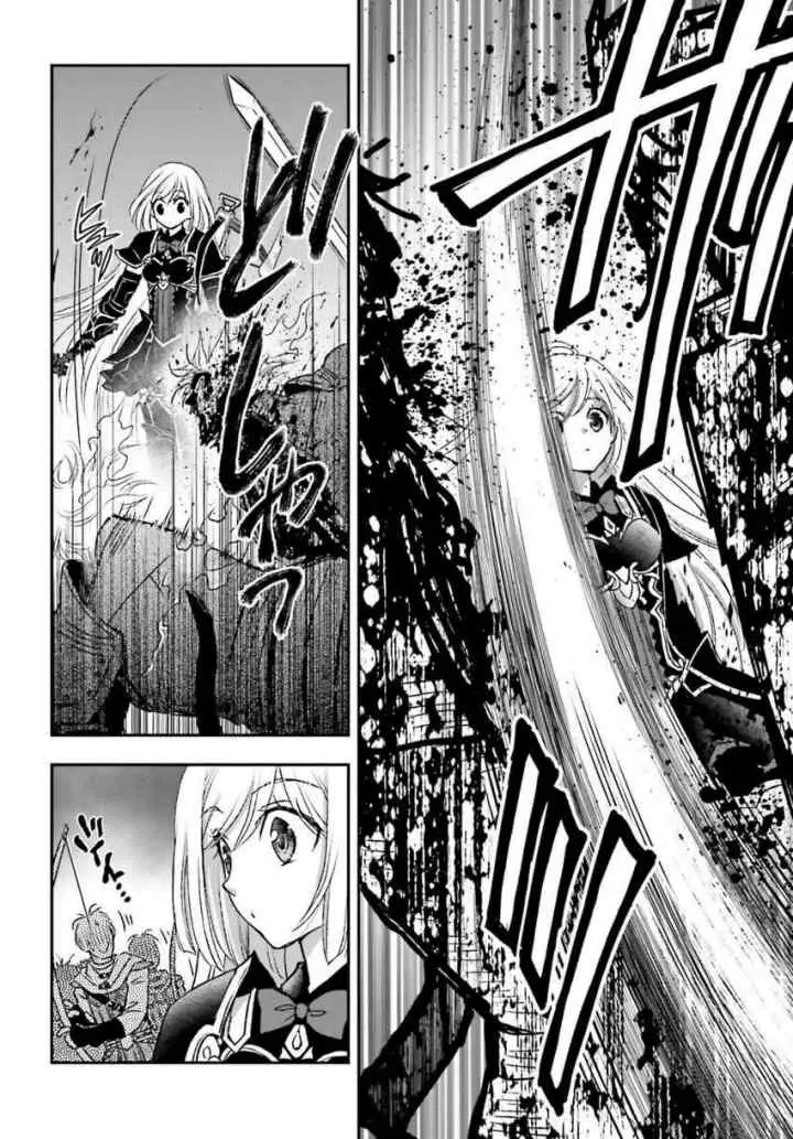Shinigami ni Sodaterareta Shoujo wa Shikkoku no Tsurugi wo Mune ni Idaku chapter 33.5 halaman 9