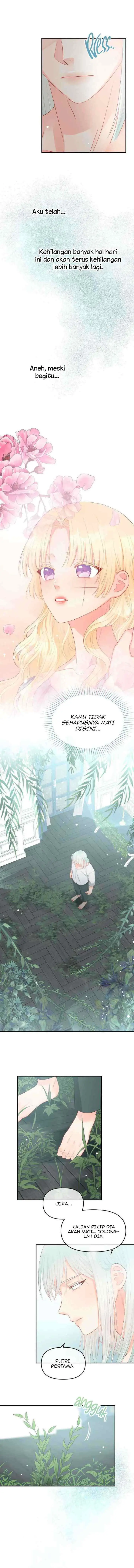 Don't Concern Yourself With That Book chapter 17 halaman 5