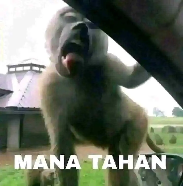 Arts Mans chapter 59 halaman 17