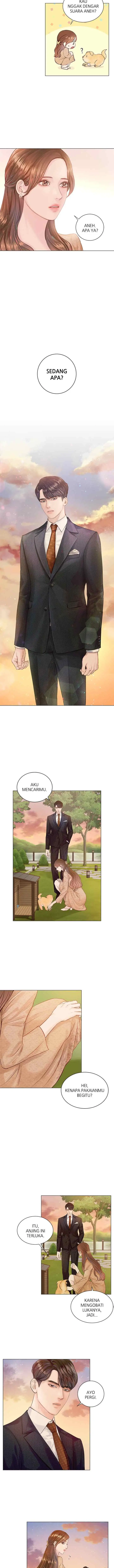 There Must Be Happy Endings chapter 1 halaman 13