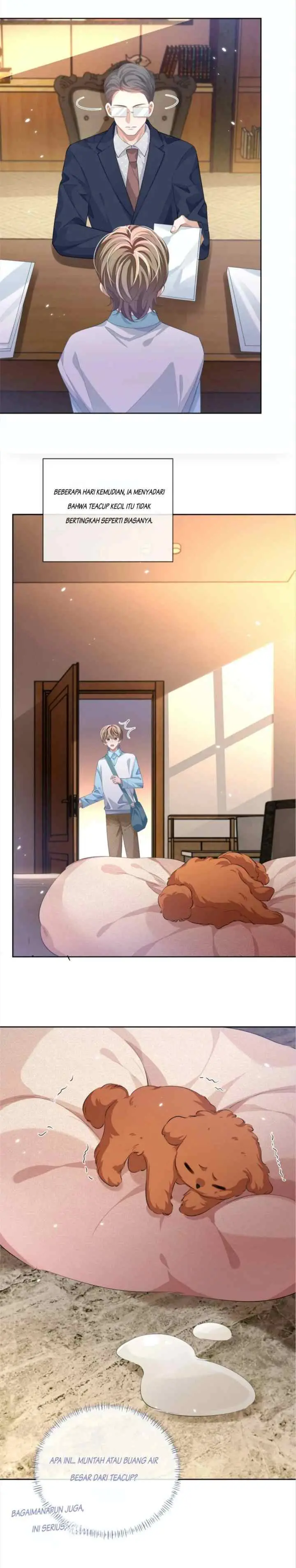 Little Wife, How Dare You Say Break Up? chapter 91 halaman 10