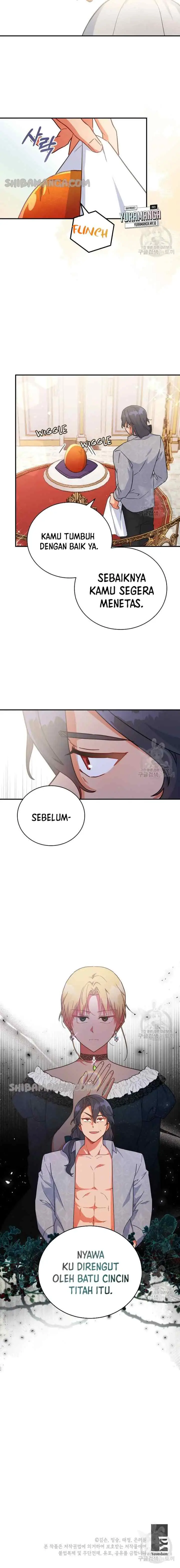 The Flower Blooming Baby Lord chapter 28 halaman 11