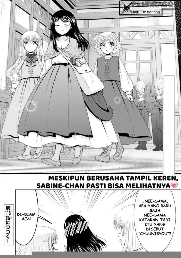 Rougo Ni Sonaete I Sekai De 8 Man-mai No Kinka O Tamemasu chapter 115 halaman 12