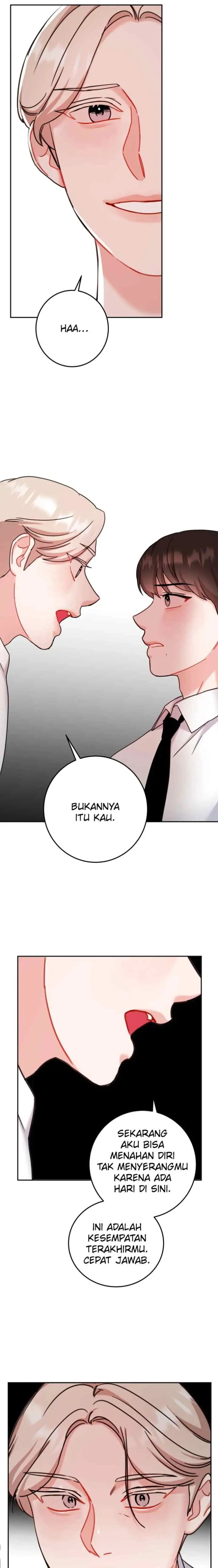 Romance Sangriento chapter 29 halaman 16