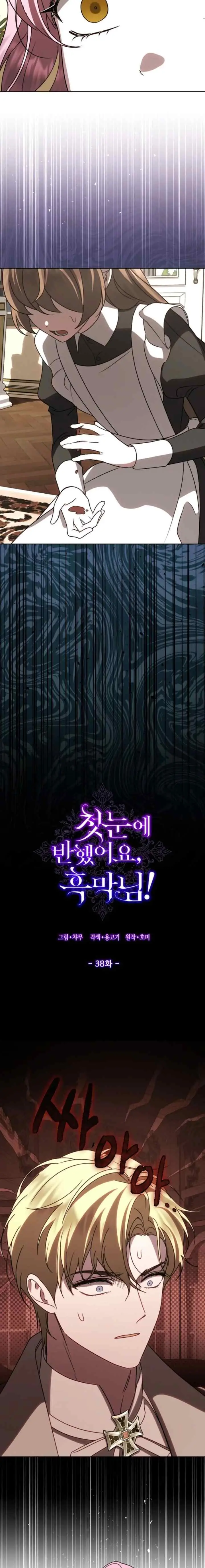 I Fell in Love at First Sight, Mr. Villain! chapter 38 halaman 5