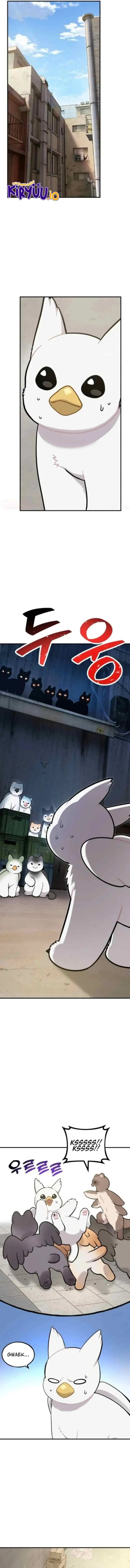 Hello, Fluffy Griffin! chapter 38 halaman 5