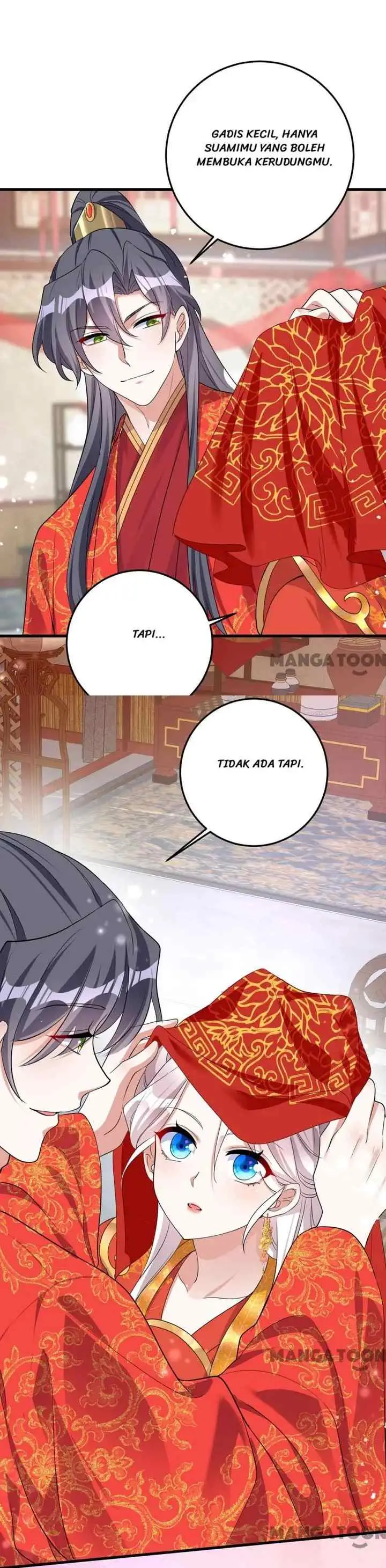 Rebirth of the Cute Tiger: Great General Wants to Hug chapter 211 halaman 16